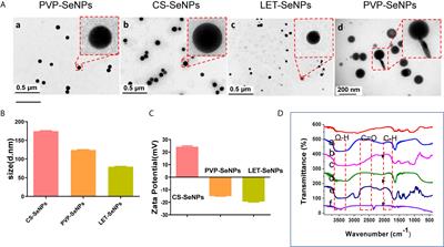 Functionalized Selenium Nanotherapeutics Synergizes With Zoledronic Acid to Suppress Prostate Cancer Cell Growth Through Induction of Mitochondria-Mediated Apoptosis and Cell Cycle S Phase Arrest